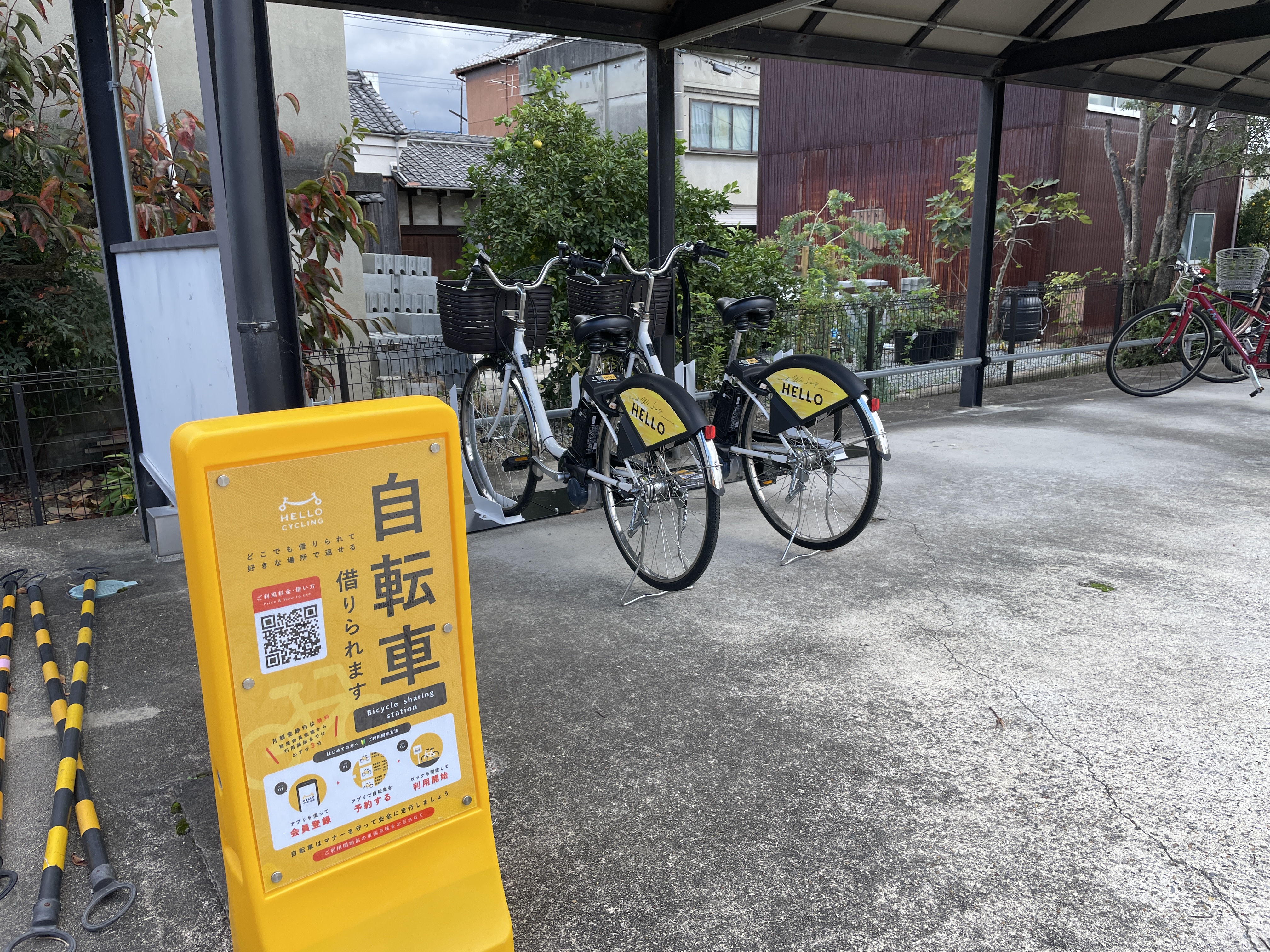 わんデイパス